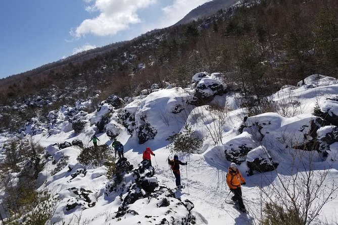 -Snow Mountain Hiking at the Foot of Asama- Karuizawa Snowshoe Tour