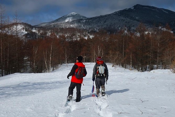 Snow Mountain Hiking to Enjoy With Family! Ice Cream Making Snowshoe