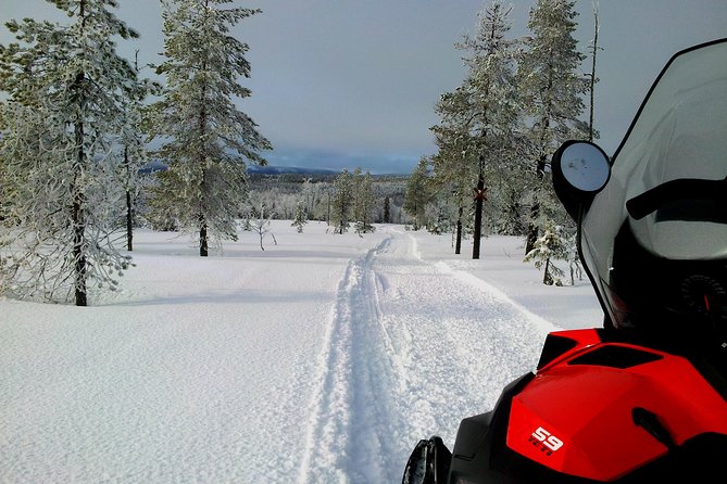 Snowmobile Adventure in Swedish Lapland (Day Tour) - Good To Know