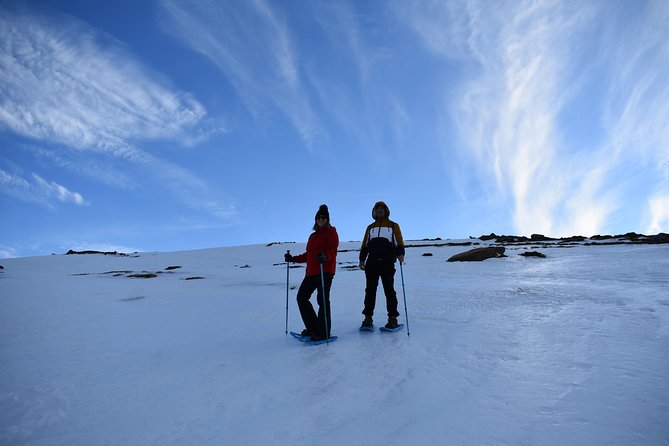 Snowshoe Hiking in Sierra Nevada (Granada)
