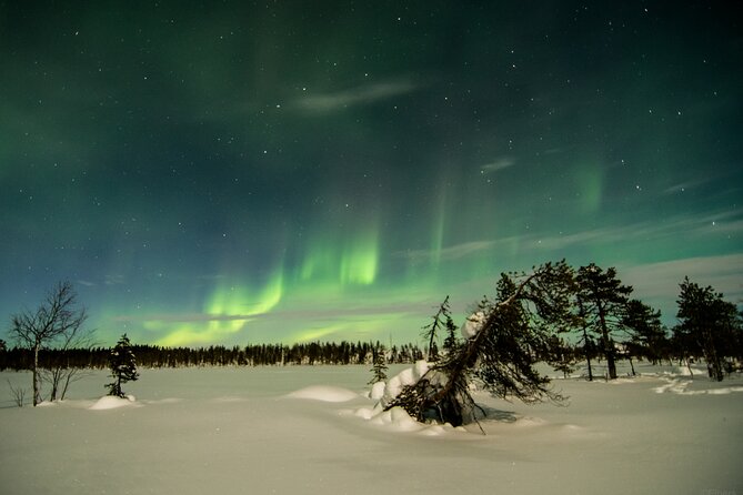 Snowshoe in the Northern Light Night