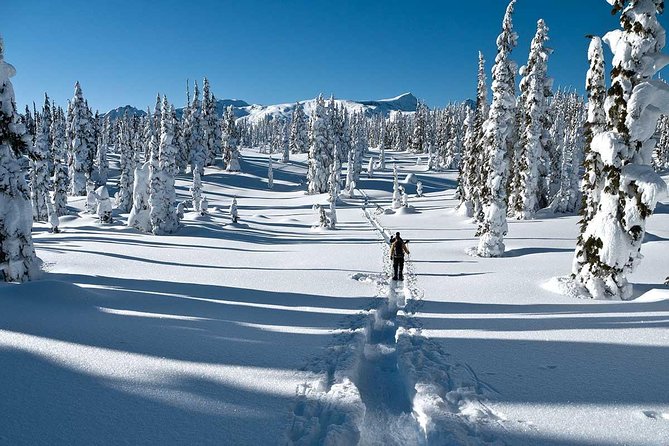 Snowshoe Through Vancouvers Winter Wonderland