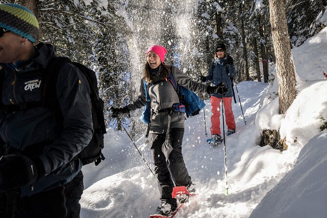Snowshoe Tour Isenfluh
