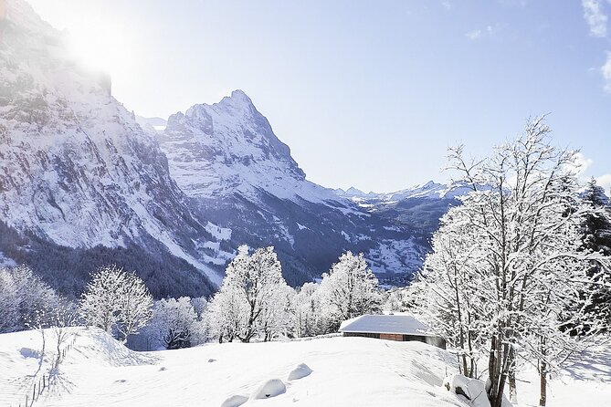 Snowshoe Tour Wetterhorn Grindelwald - Good To Know