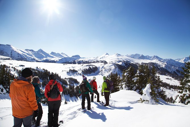 Snowshoeing Tour From Baniff - Banff