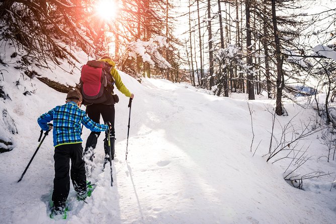 Snowshoeing Tour in Jacques-Cartier National Park - Highlights of the Tour