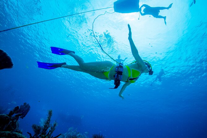 Snuba Adventure in Cabo San Lucas
