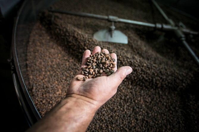 Song of the Sea: Fish, Seafood and Tradition in Lisbon's Port Zone - Lisbons Port Zone: A Seafood Paradise