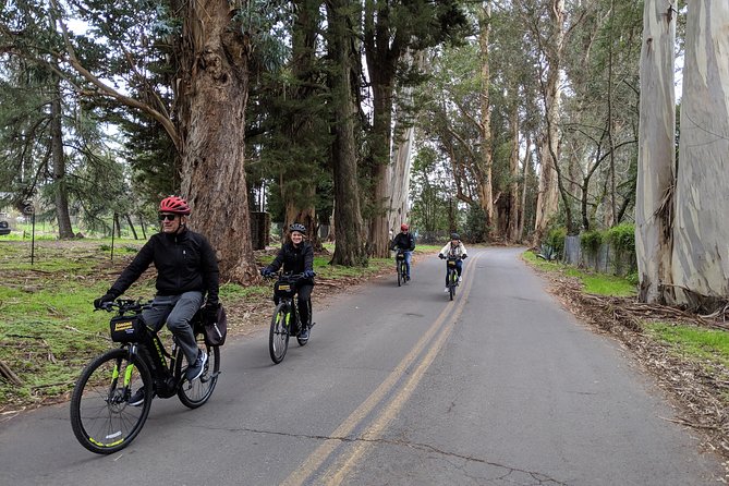 12 Best Bike Tours In Napa and Sonoma