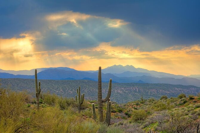 Sonoran Desert Jeep Tour - Good To Know