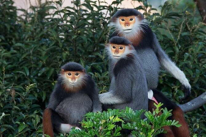 Sontra Peninsula Exploration With Rice Wine Distillery & Testing - Good To Know