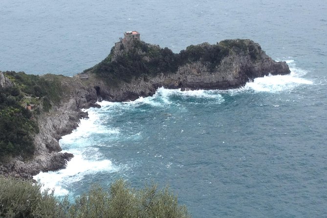 Sorrento or Positano to Amalfi Coast and Paestum Full-Day Tour - Health and Safety Measures