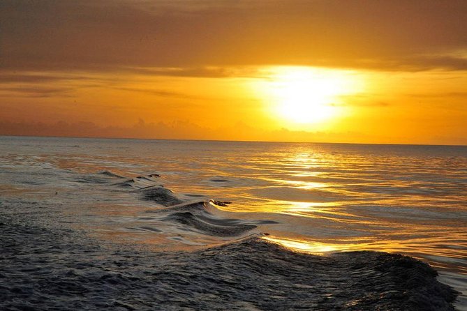 Southern Caribbean Tour: Swimming With Turtles, Bats, Diamond (Weather Permitting).