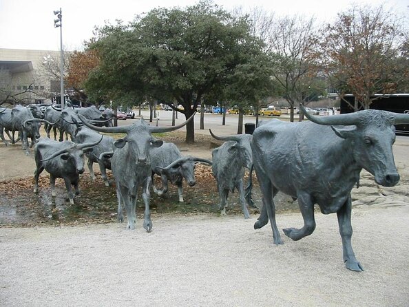 Southfork Ranch and Dallas/JFK Highlights Tour