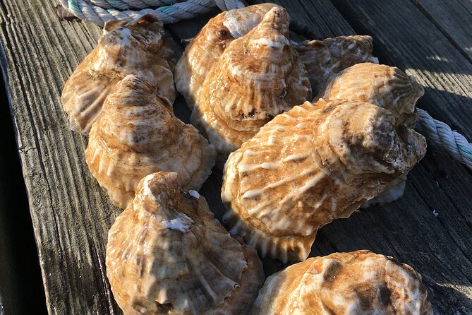 Southold Bay Oyster Farm Tour - Good To Know