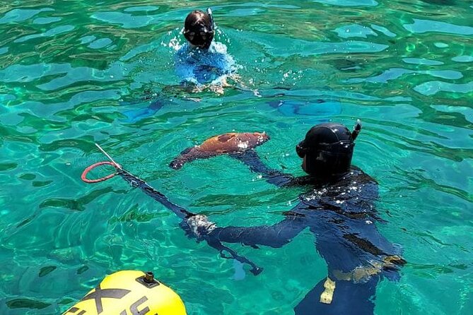 Spearfishing in Chania, Crete (Price Is per Group) - Good To Know