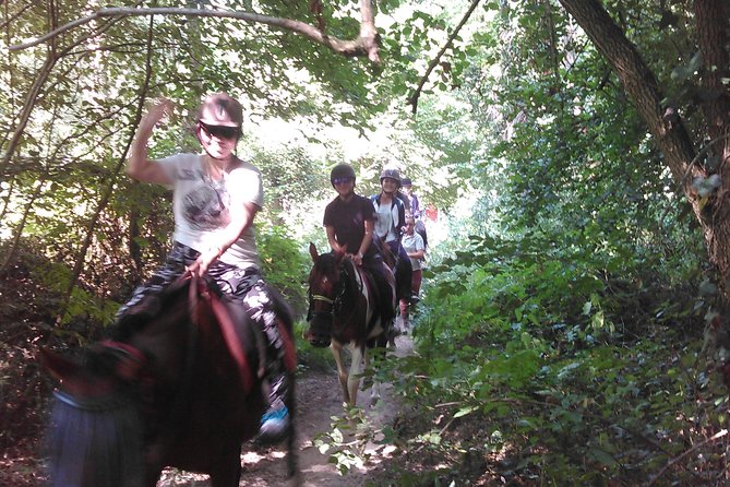 Special Childrens Ride – Relaxation and Fun for Children Guaranteed