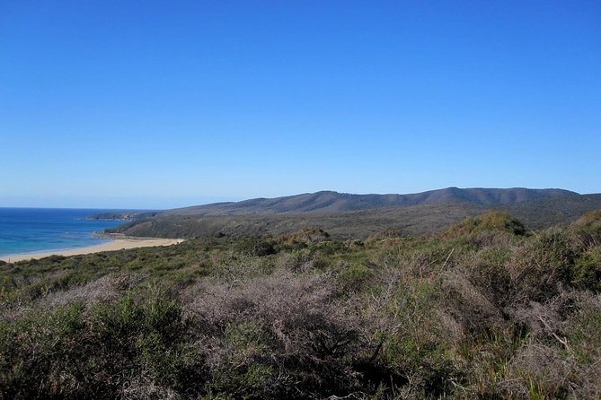 Spend a Day in One of Tasmanias Best Wildlife National Parks - Good To Know