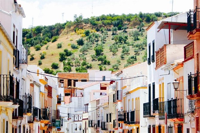 Spend a Day in the White Villages From Cadiz
