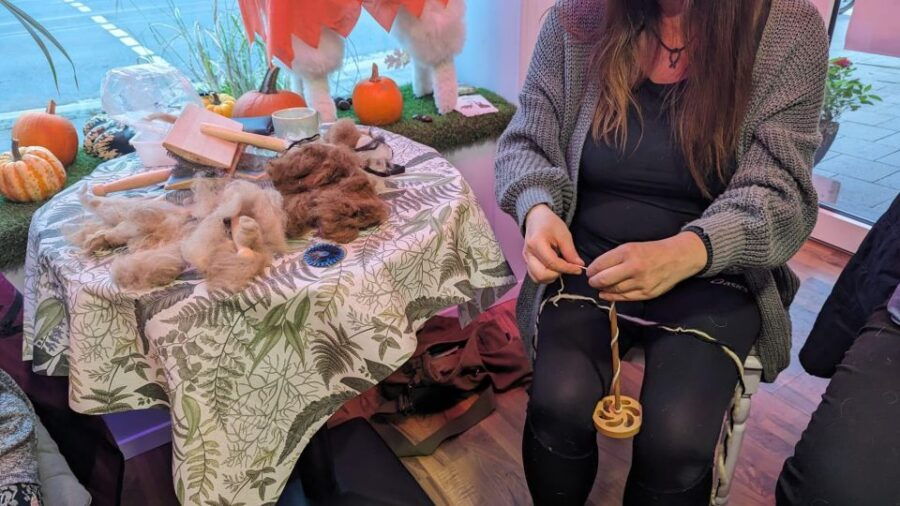 Spinning Class With Alpaca Wool