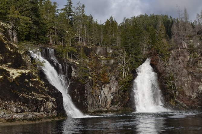 Spring Bear and Waterfall Tour
