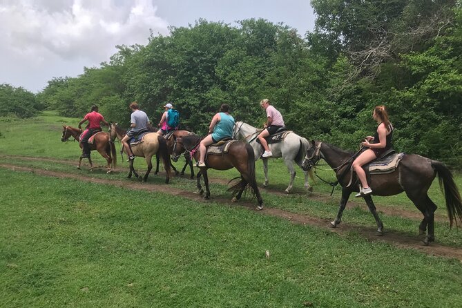 St. Croix Horseback Ride  – St Croix