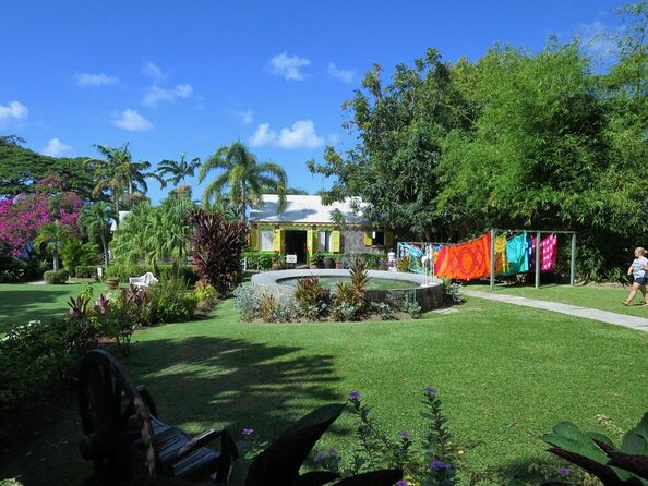 St Kitts Rainforest Nature Tour