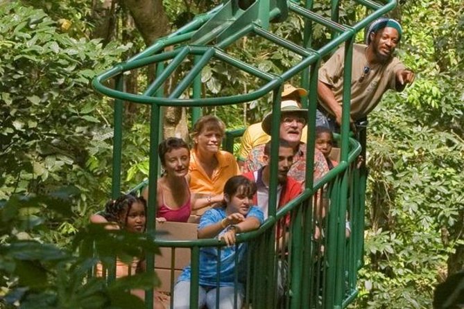 St. Lucia Zip Line, Aerial Tram and Hiking Tour Ultimate 3