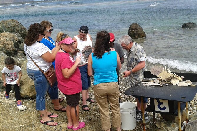 St Maarten Excursion: Island Sightseeing Beach & Shopping.