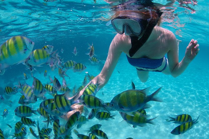 St. Thomas Private Snorkeling Expedition  - St Thomas - Good To Know