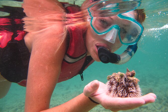 St Thomas Shore Excursion: Mangrove Lagoon Kayak and Snorkel Tour - Pricing and Booking