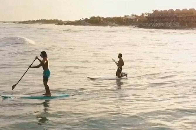 Stand-Up Paddle Boarding in Tulum With Snorkeling 1hr - Good To Know