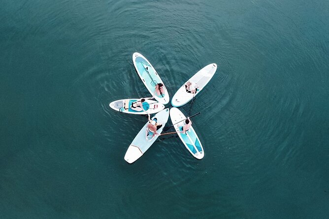 Stand Up Paddle Center in Rhein River