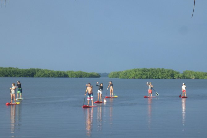 Stand up Paddle in Paradise
