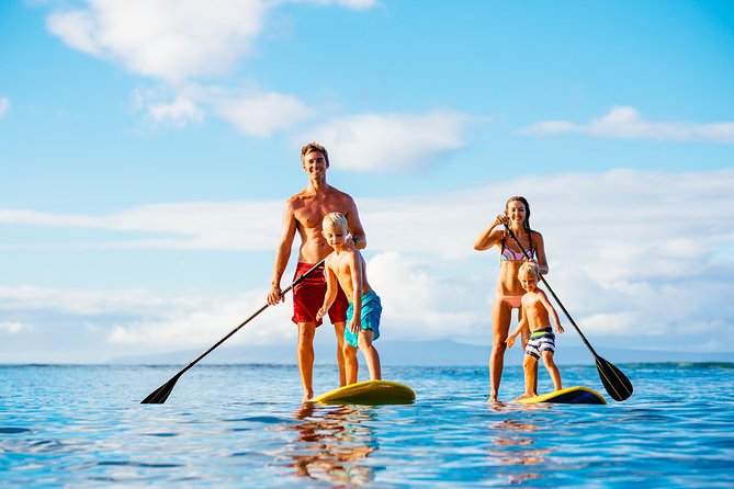Stand up Paddle on the Beautiful Noosa River With Hourly Board Hire