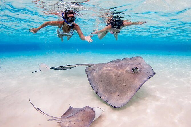 25 Best Tours In George Town