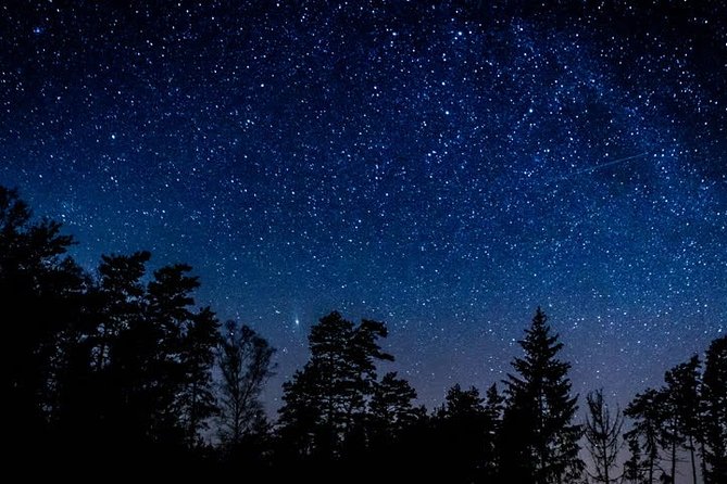 Stargazing in Sequoia National Park
