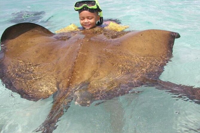 Stingray City - Traveler Reviews and Ratings