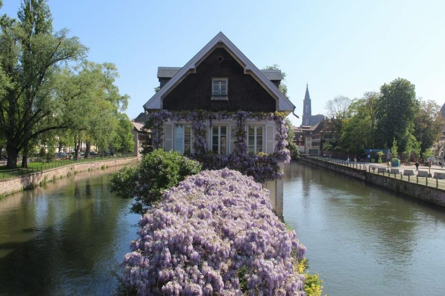 Strasbourg: Walking Tour With Local Guide