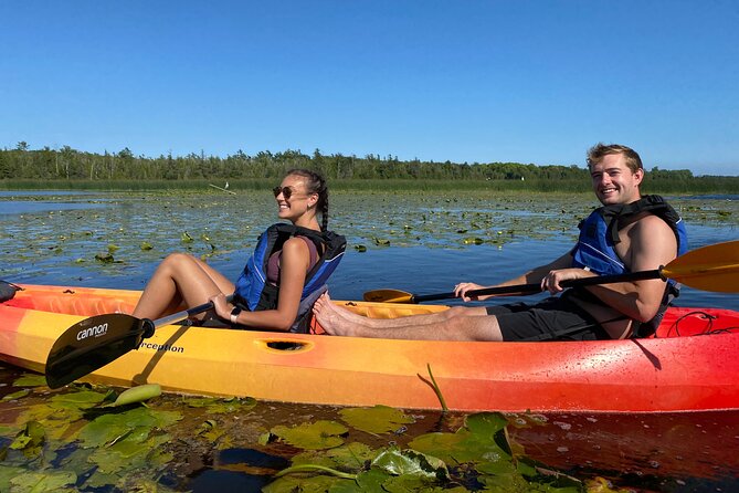 Sturgeon Bay Wetlands Kayak Tour - Green Bay & Door County