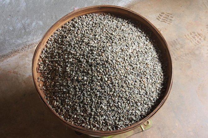 Suan Lahu Coffee and Tribal Experience From Chiang Mai - Good To Know