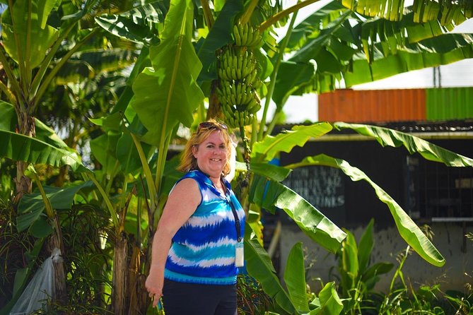 Sulphur Springs Mudbath & Botanical Gardens Tour - All Inclusive - Common Questions