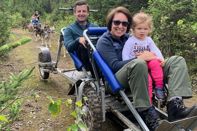 Summer Dog Sledding Adventure in Willow, Alaska - Good To Know