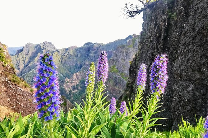 Sunrise Guided Hike PR1 Pico Do Areeiro Pico Ruivo Small Group - Traveler Photos and Reviews