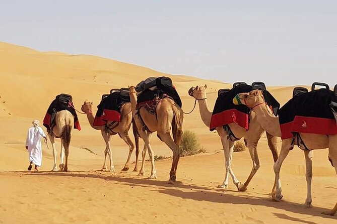 Sunrise Morning Desert Safari - Good To Know