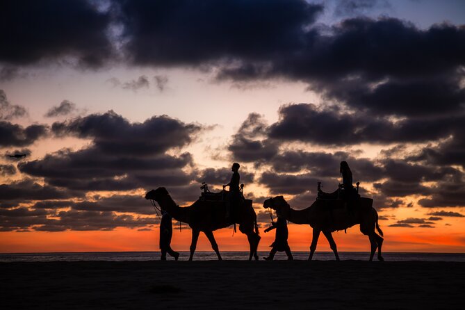 Sunset Beach Camel Ride With Mexican Buffet and Tequila Tasting - Good To Know