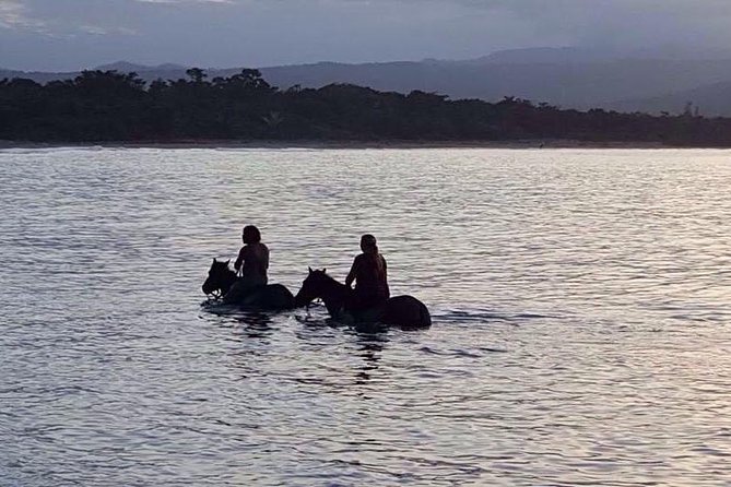 Sunset Beach Horseback Riding - Additional Information and Cancellation Policy
