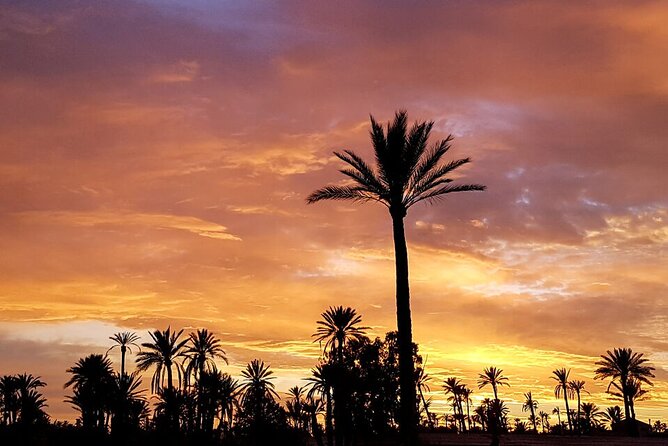 Sunset Camel Ride in Agadir or Taghazout With Transfers - Lowest Price Guarantee