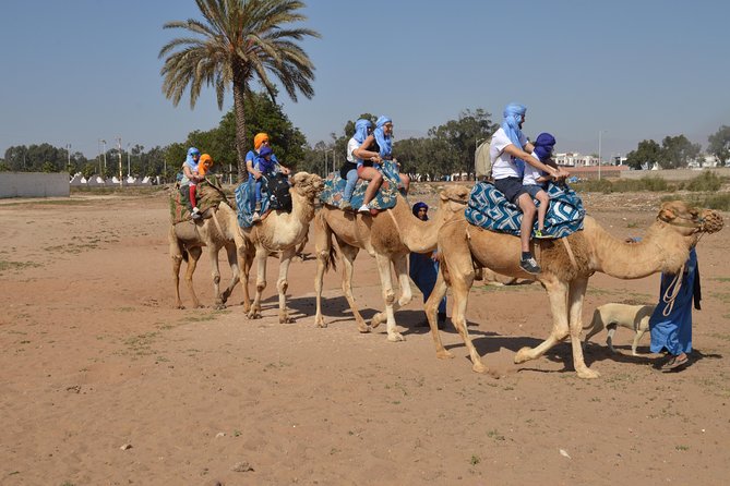 Sunset Camel Ride in Agadir With Transport, Tea and Cakes. - Good To Know