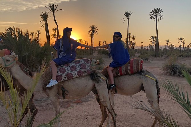 Sunset Camel Ride in the Palm Grove of Marrakech - Traditional Berber Home Visit